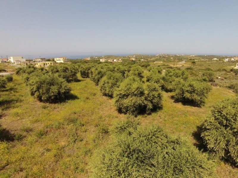 Chorafakia Chania Olivenbäume und Meerblick - in der Nähe von Stränden Grundstück kaufen